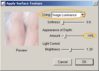 Corel Painter Essentials - Allpy Surface Texture