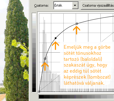 Curves - Enfuse