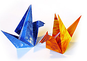 Origami daru